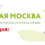 Здоровая Москва_1510х595 (1)
